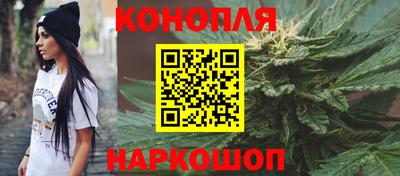 гашик Донецк