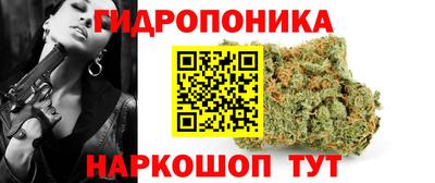 скорость Дубна