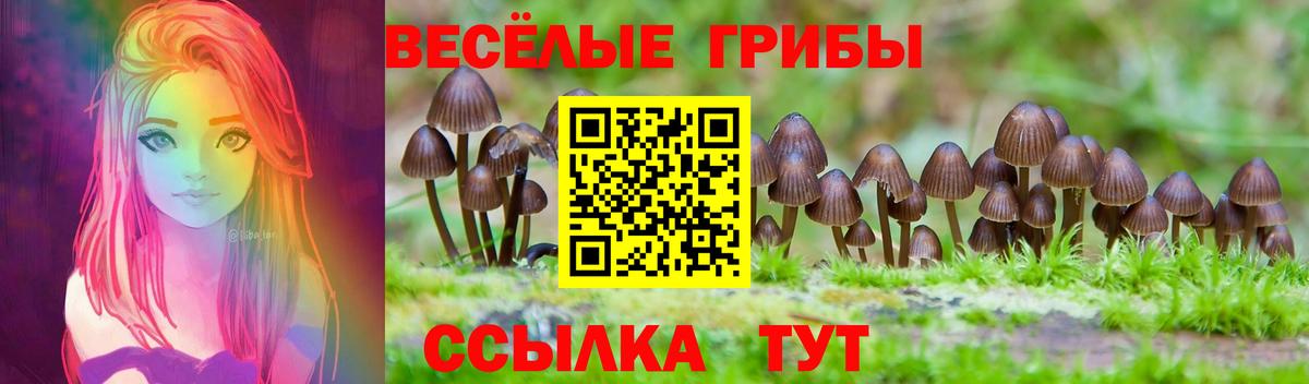 Псилоцибиновые грибы Magic Shrooms Красноуфимск